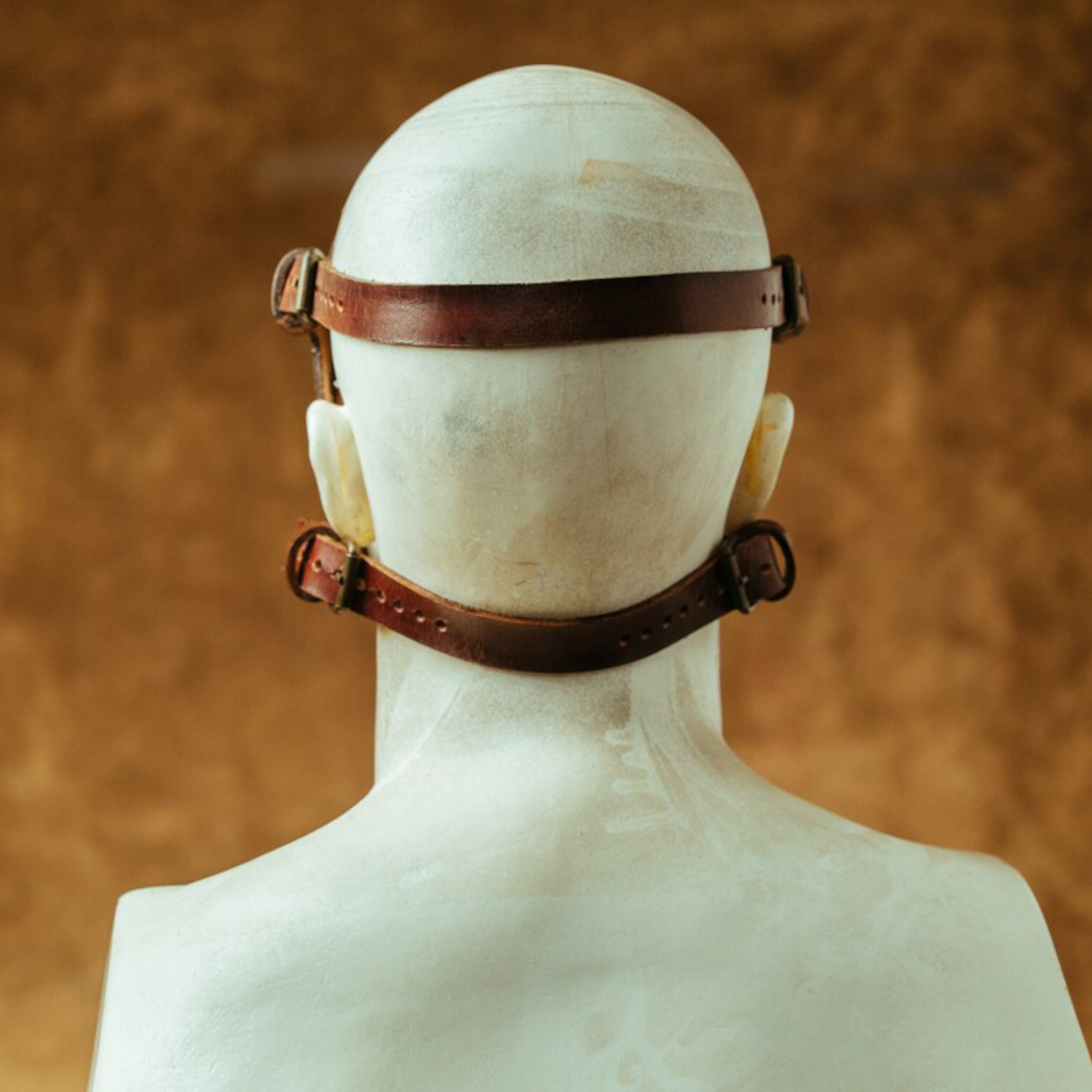 Plague Doctor Mask Hieronymus