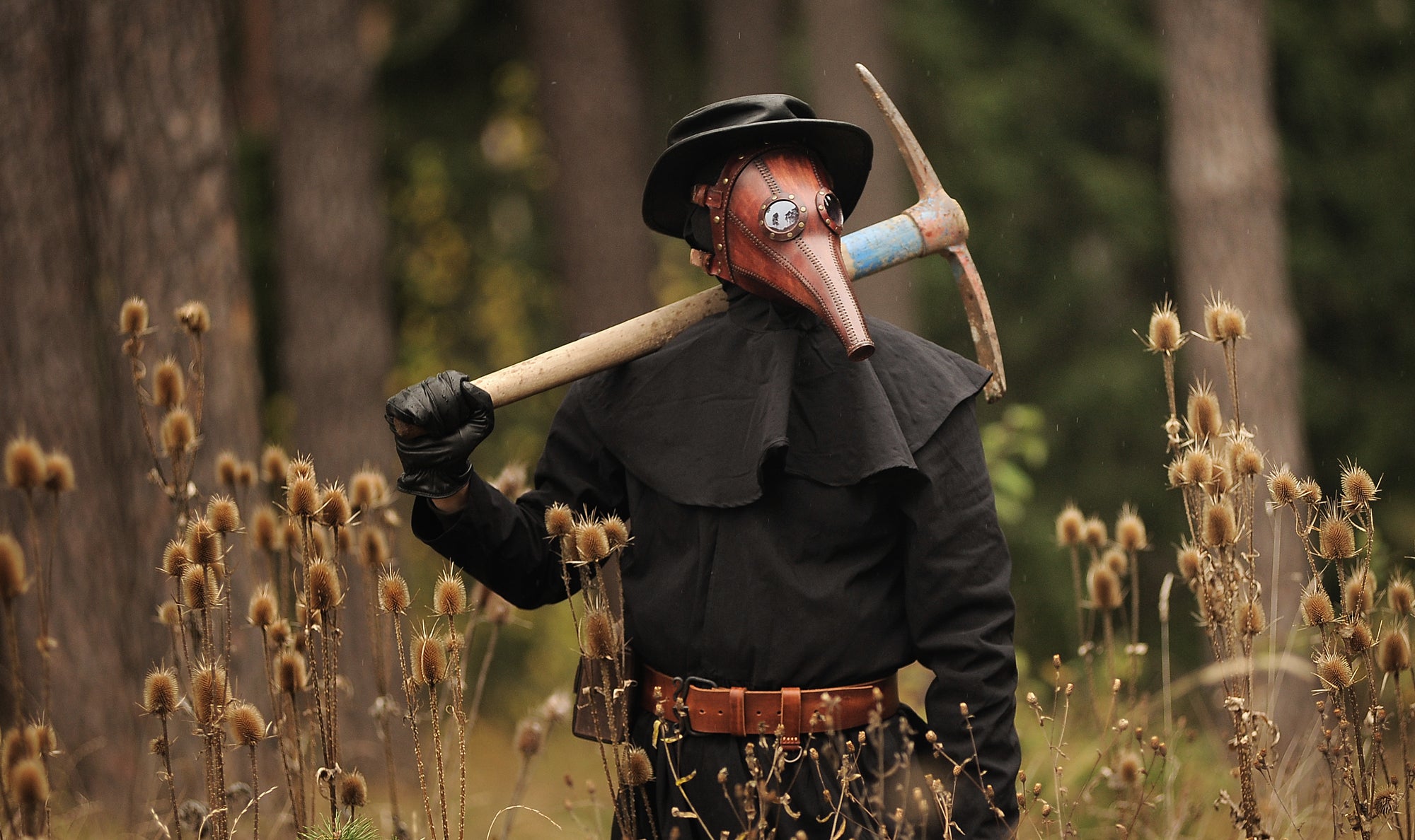 Plague Doctor Mask Hieronymus
